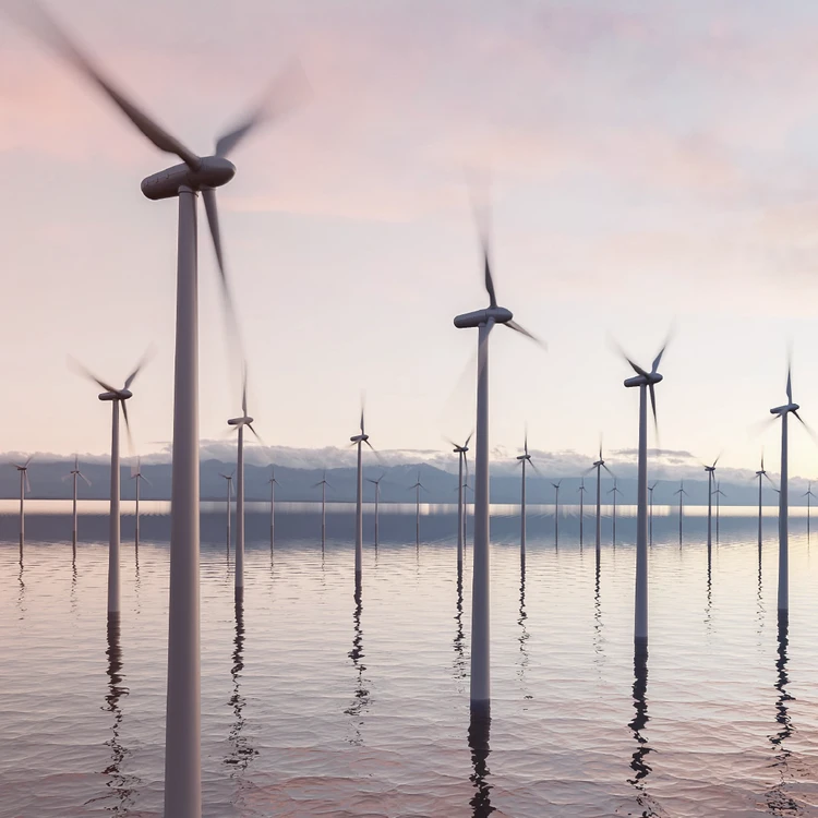 An offshore wind farm with turbines spinning at sunset, symbolizing operational efficiency, execution, and data-driven transition in the energy sector.