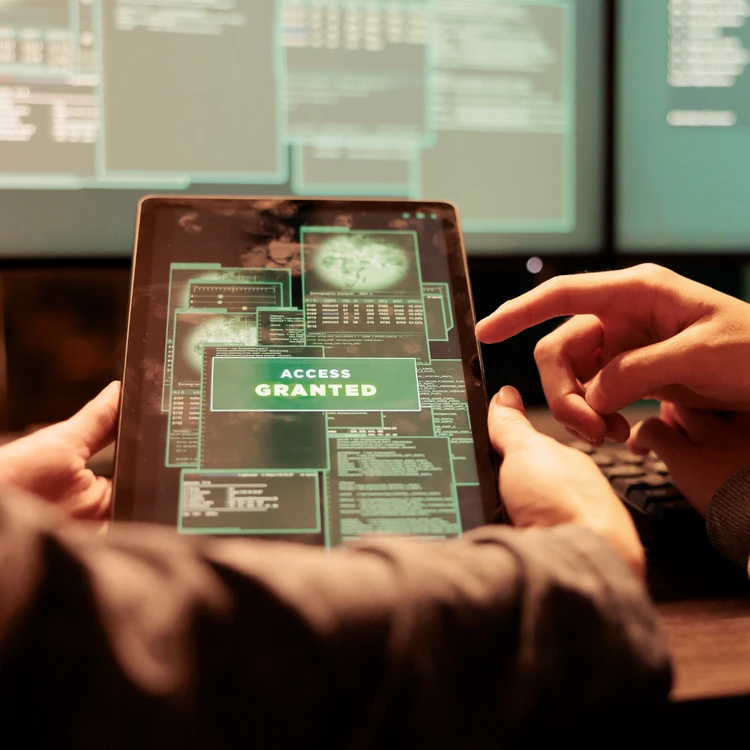 Tablet screen displaying "Access Granted" message for corporate security programs and frameworks verification.